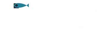 Fishency Innovation logo